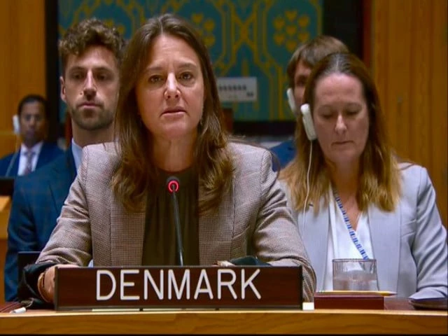 ambassador sandra jensen landi of denmark photo reuters afp