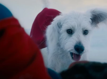 james gunn reveals real life inspiration behind krypto in superman reboot