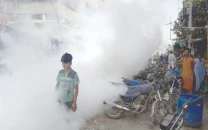 dengue claims eight lives in five days of nov dengue claims eight lives in five days of nov