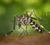 water shortage breeds a new health threat water shortage breeds a new health threat