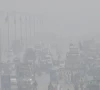 winter woes dense fog engulfs city winter woes dense fog engulfs city