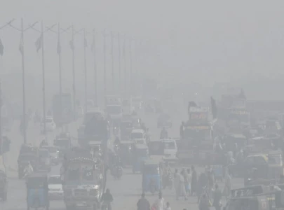 winter woes dense fog engulfs city