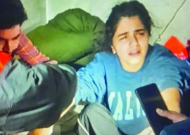 qb not to blame for deosai bear attack qb not to blame for deosai bear attack