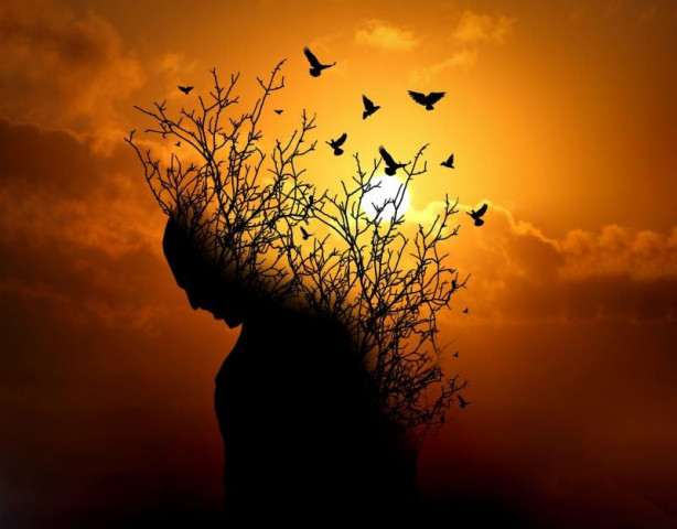mindfulness can decrease depression significantly photo pixabay website mindfulness can decrease depression significantly photo pixabay website