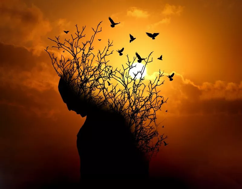 mindfulness can decrease depression significantly photo pixabay website mindfulness can decrease depression significantly photo pixabay website