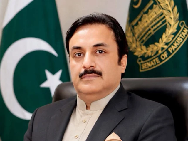 Syedaal to act as Senate chairman