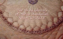 frances pritchett s monument to ghalib frances pritchett s monument to ghalib