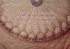 frances pritchett s monument to ghalib