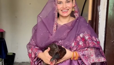photo dhawalimaid instagram