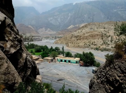 forest fire in sherani brought under control forest fire in sherani brought under control