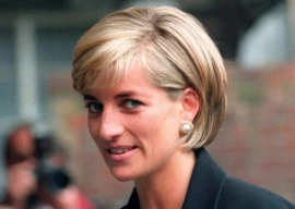 princess diana s bodyguard reveals 3 security failures on her 27th death anniversary