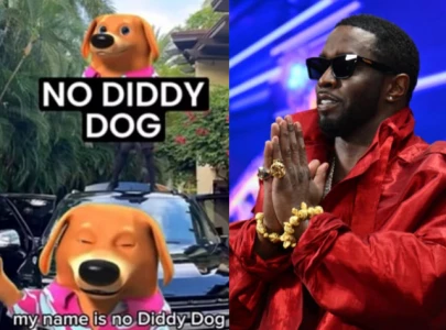 no diddy dog exposes dark secrets of diddy parties in final message before death