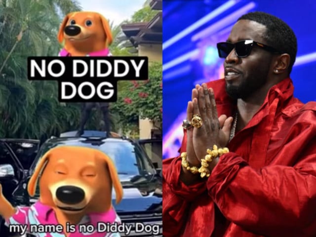 No Diddy Dog exposes dark secrets of Diddy parties in final message ...