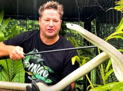 youtuber dingo dinkelman dies after venomous snake bite sends him into anaphylactic shock youtuber dingo dinkelman dies after venomous snake bite sends him into anaphylactic shock