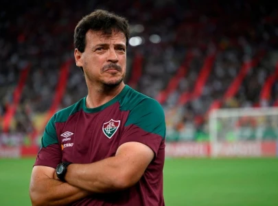 diniz appointed interim brazil coach diniz appointed interim brazil coach