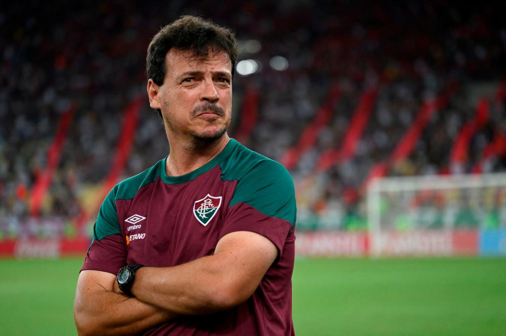 Diniz appointed interim Brazil coach