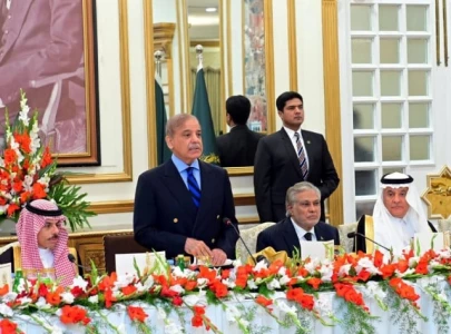pm hosts saudi delegation for dinner reception