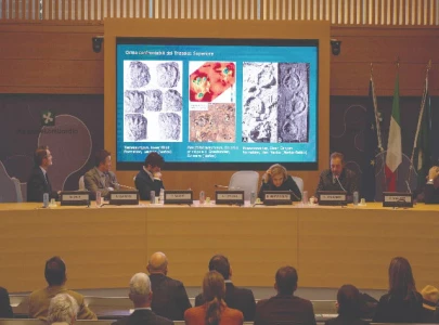 dinosaur footprints found in italy dinosaur footprints found in italy