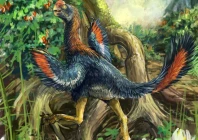 life reconstruction of the feathered cretaceous period dinosaur infernogallus jamesi eating fruit while a tyrannosaurus rex lurks in the background released october 27 2026 reuters