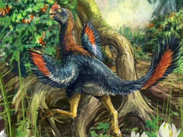 Strange beaked 'hell chicken' is the first fruit-eating dinosaur