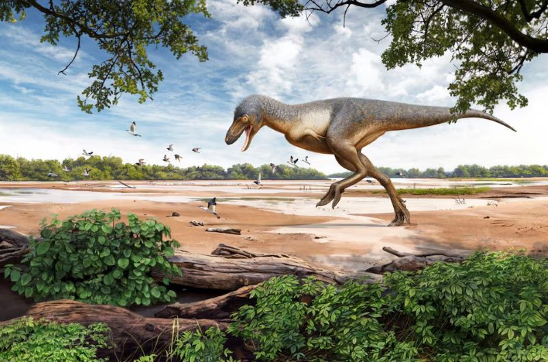 an artist s reconstruction of the 67 million year old cretaceous period landscape of north dakota with a juvenile tyrannosaurus rex is seen in this handout illustration photo reuters