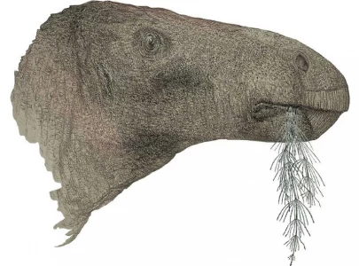 uk discovers its most complete dinosaur in a century uk discovers its most complete dinosaur in a century