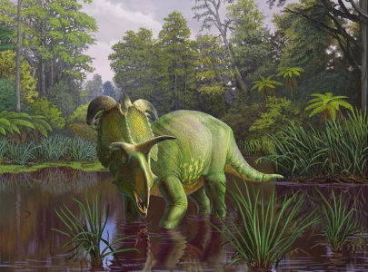 montana s lokiceratops unveiling a dinosaur with mythical horns