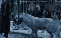 game of thrones dire wolves reborn colossal biosciences de extincts canines using crispr game of thrones dire wolves reborn colossal biosciences de extincts canines using crispr