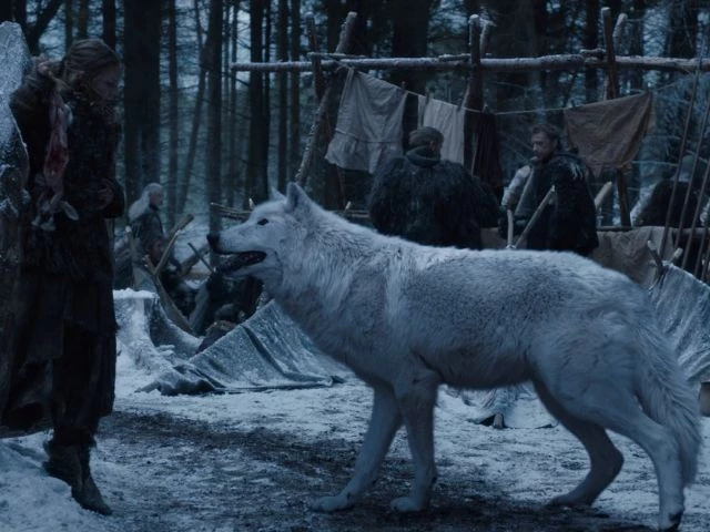 hbo hbo