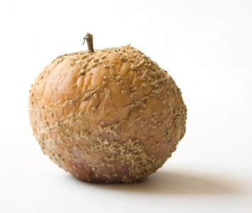 a sore ful existence