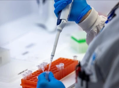 china implements strict border measures to prevent spread of mpox virus china implements strict border measures to prevent spread of mpox virus