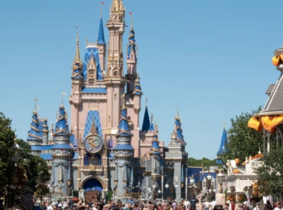 did disney world resort introduce a 10 million entry ticket