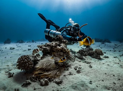 un biodiversity treaty enters into force aims to protect 30 of oceans by 2030