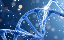 dna mix up prompts second exhumation in honour killing case