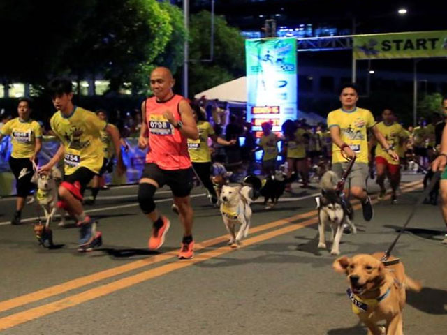 Dog owners and their pets jog through an open road as they participate in the annual Doggie Run outside a mall in Pasay city, metro Manila, Philippines March 3, 2018. PHOTO: REUTERS