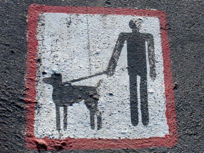 compensation maid withdraws dog attack case against employer compensation maid withdraws dog attack case against employer