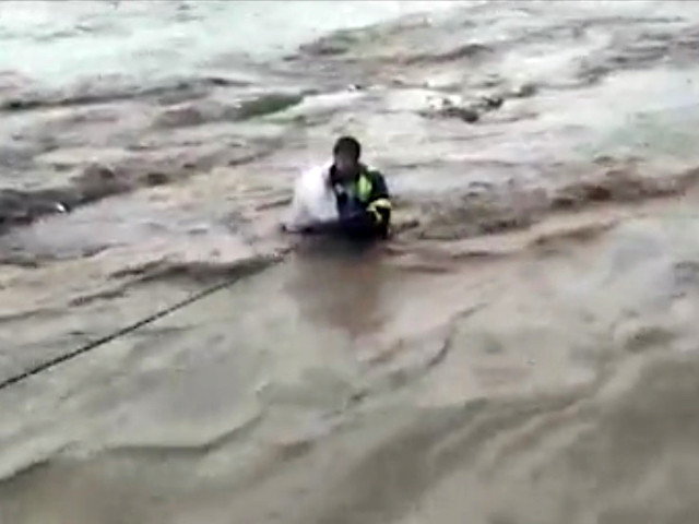 rescue 1122 team manages to rescue the day old puppies and their mother from the flooding nullah in marghzar town screengrab