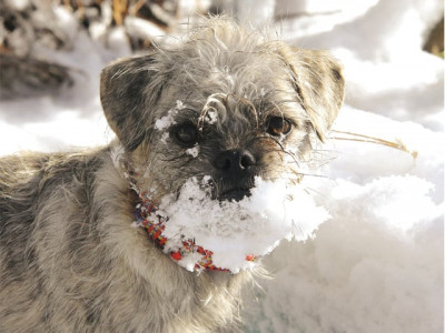 up north and personal let it snow up north and personal let it snow