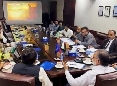 rights groups ji join hands against inhuman culling of stray dogs bite attack cases in punjab