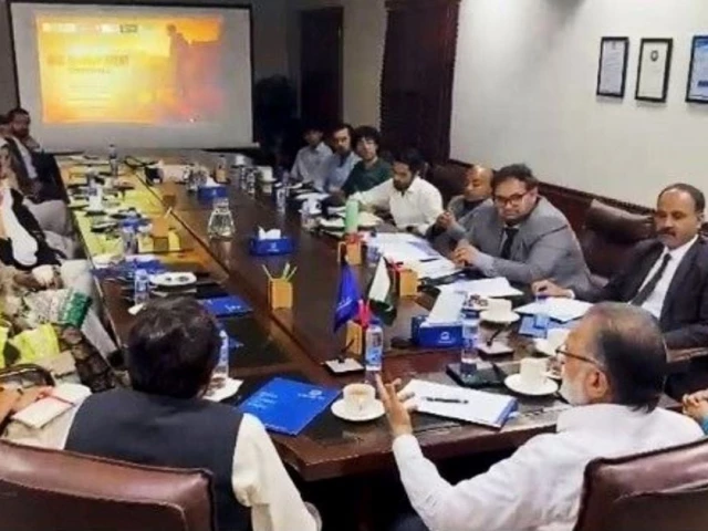 Rights groups, JI join hands against inhuman culling of stray dogs in Punjab Rights groups, JI join hands against inhuman culling of stray dogs in Punjab