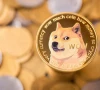 elon musk s top doge staffer marko elez resigns after racist social media posts surface elon musk s top doge staffer marko elez resigns after racist social media posts surface