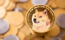 elon musk s top doge staffer marko elez resigns after racist social media posts surface