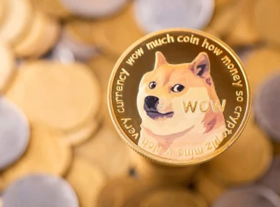 elon musk s top doge staffer marko elez resigns after racist social media posts surface