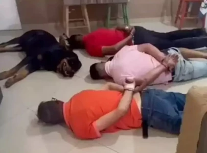 drug peddler s mom sets dog on cops during raid