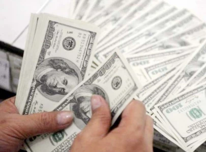 budget estimates being set at rs295 per dollar budget estimates being set at rs295 per dollar