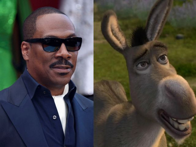 shrek 5 and donkey spinoff movie in development confirms eddie murphy shrek 5 and donkey spinoff movie in development confirms eddie murphy