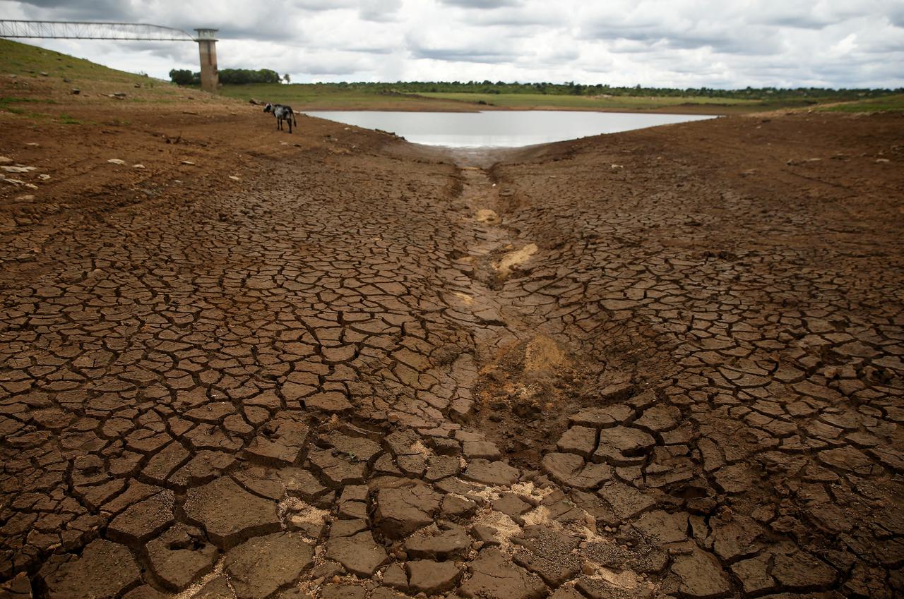 file photo caked mud is seen before a small patch of water as the region deals with a prolonged drought at a dam near bulawayo zimbabwe january 18 2020 picture taken january 18 2020 reuters