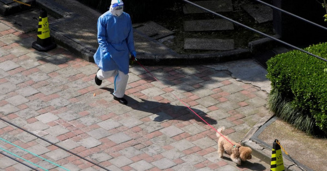 a person in personal protective equipment ppe walks a dog at a resident community as the second stage of a two stage lockdown has been launched to curb the spread of the coronavirus disease covid 19 in shanghai china april 3 2022 reuters a person in personal protective equipment ppe walks a dog at a resident community as the second stage of a two stage lockdown has been launched to curb the spread of the coronavirus disease covid 19 in shanghai china april 3 2022 reuters