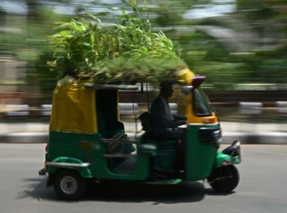 watch indian rickshaw driver stays cool on the move with rooftop garden