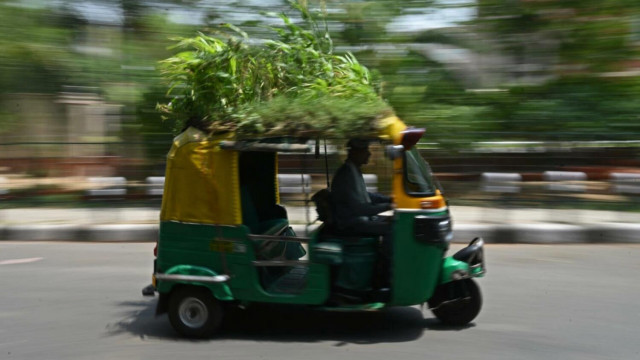 watch indian rickshaw driver stays cool on the move with rooftop garden watch indian rickshaw driver stays cool on the move with rooftop garden